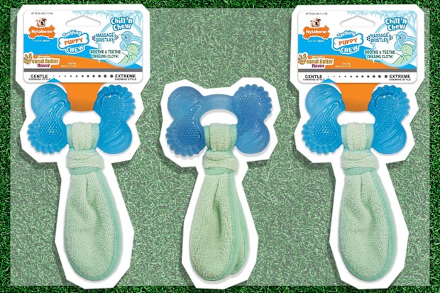9PR: Nylabone Puppy Chew Freezer Bone with Chiller Cloth