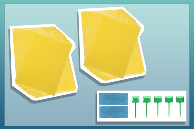 9PR: Sticky Traps 40 Sheets, GeeRic Yellow Sticky Fruit Fly and Plant Gnat Bug Traps 8x6 Inch, Dual-Sided Sticky Traps for Indoor/Outdoor Use with Twist Ties and Plastic Holders