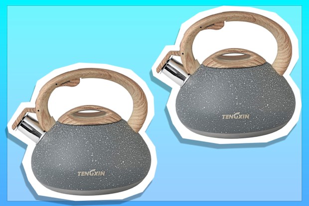 TENGXIN WhistlingTea Kettle