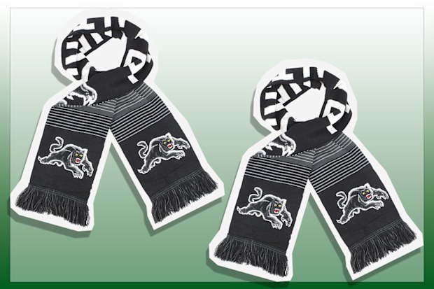 9PR: Panthers Scarf