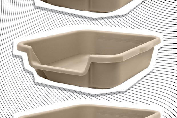 9PR: Kitty Go Here Litter Box, Beige