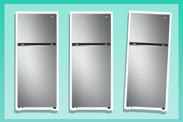 9PR: LG 375L Top Mount Refrigerator