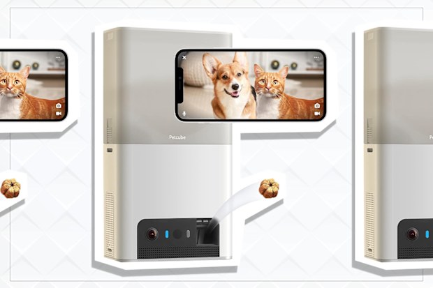 9PR: Petcube Bites 2 Lite Interactive Pet Camera with Treat Dispenser