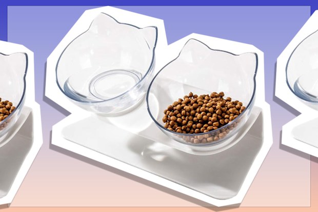 9PR: Luck Dawn Double Elevated Tilted Cat Bowls with Raised Stand
