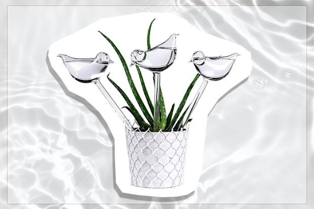 Aptech 3 Pack hand blown bird shaped Self Watering Globes