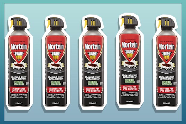 9PR: Mortein Powergard Crawling Insect Surface Spray Barrier Outdoor, 350g