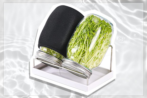 9PR: Sprouting Jar Kit