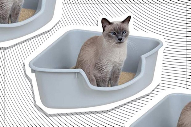 1920s purina cat food PURINA PRO PLAN Sterilised Adult (1+) yr. 1.5KG – Mr Pets