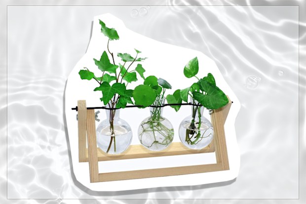 laffeya Terrarium Glass Planter Bulb Vase with Retro Solid Wooden Stand