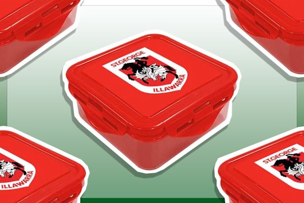 9PR: St George Illawarra Dragons NRL Sandwich Snack Container Lunch Box