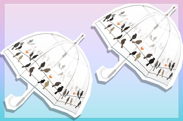 9PR: Clear plastic bubble umbrella with bird print