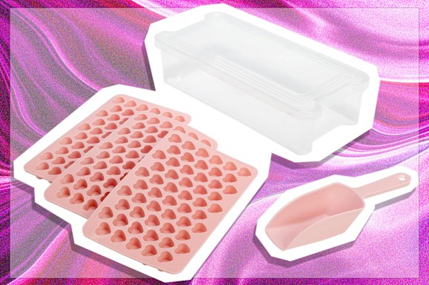 9PR: Paris Hilton Heart-Shaped Mini Ice Cube Tray Set