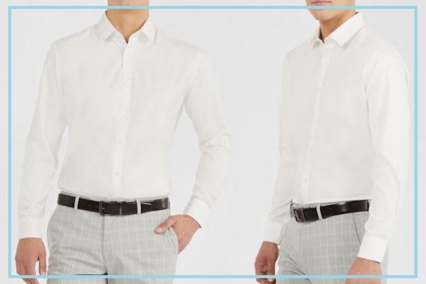 9PR: Tarocash Ivory Portland Slim Non-Iron Shirt