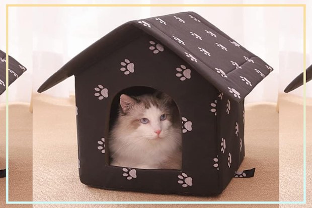 9PR: Squishy Dot Outdoor Cat House