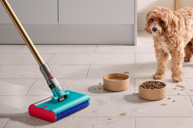 9PR: Dyson V15s Detect Submarine™ Complete vacuum