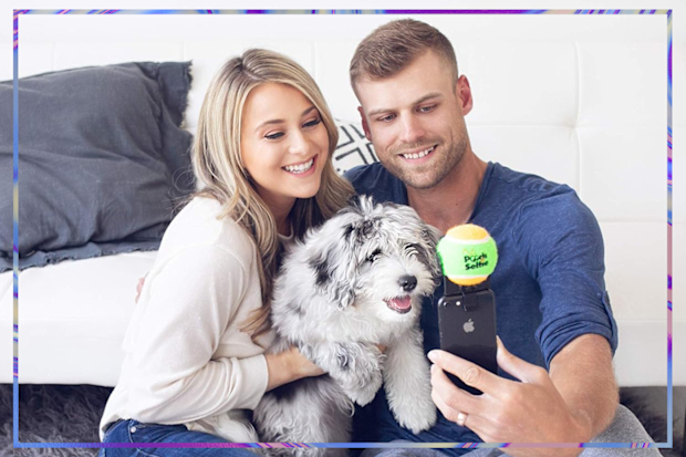 9PR: Pooch Selfie