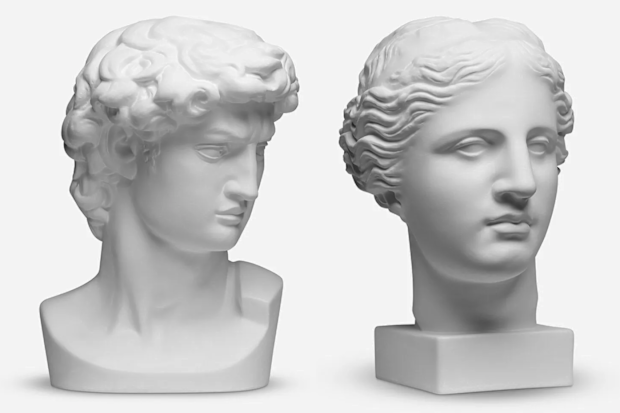 9PR: Jackson's Art Plaster Cast: Head of David and Venus de Milo
