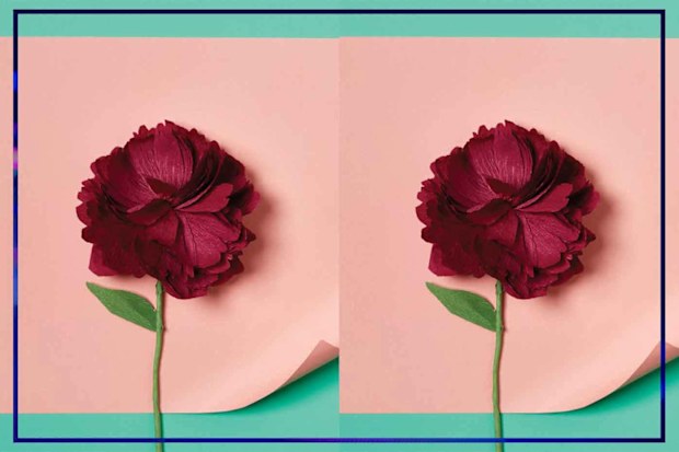 9PR: Journey of Something Paper Flower Making Kit