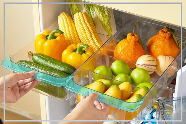 9PR: MOTTYA RollOut Fridge Caddy Drawer