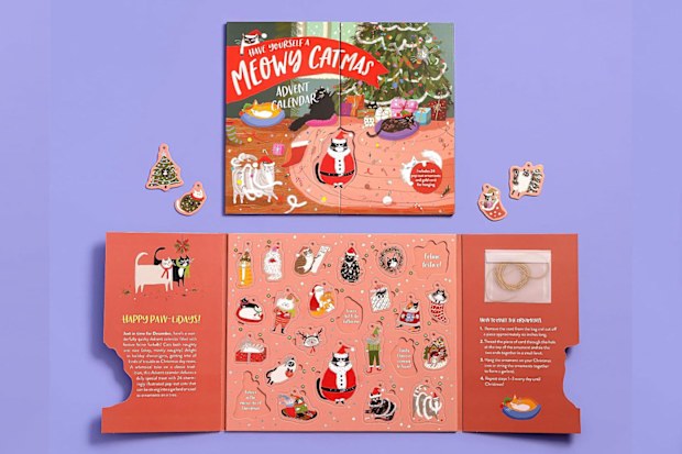 9PR: Have Yourself a Meowy Catmas Advent Calendar 