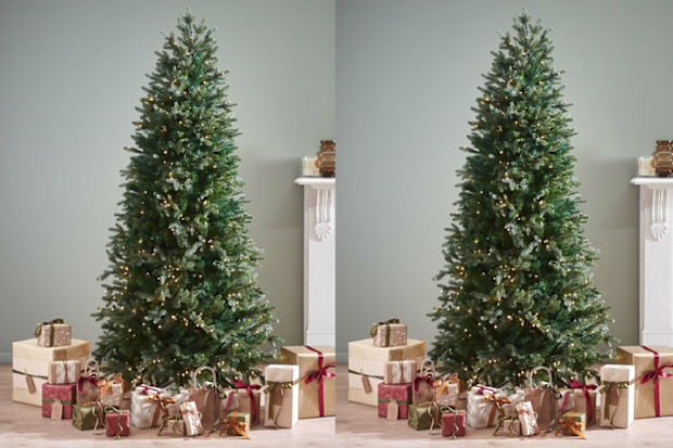 9PR: Temple & Webster Slim Aspen Fir Pre-Lit Christmas Tree
