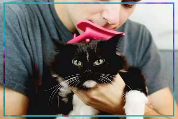9PR: Tongue Cat Brush