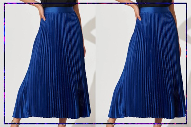 9PR: St Frock Midi Pleat Skirt