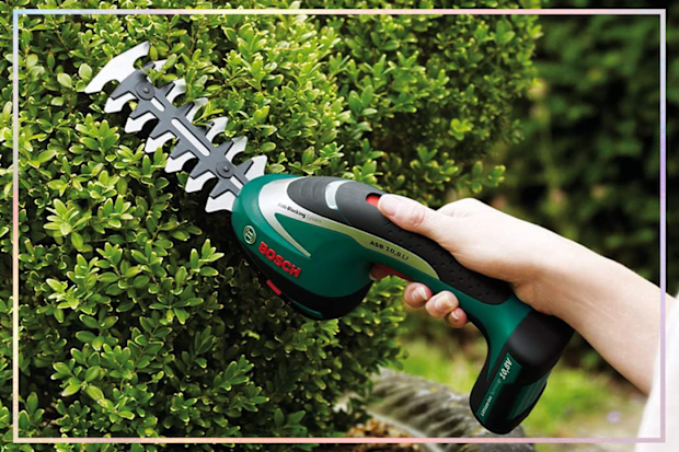9PR: Bosch Home & Garden Cordless Shrub Shear Set