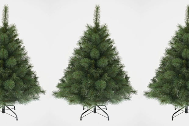 9PR: Myer Giftorium Deluxe Reno Pine Christmas Tree
