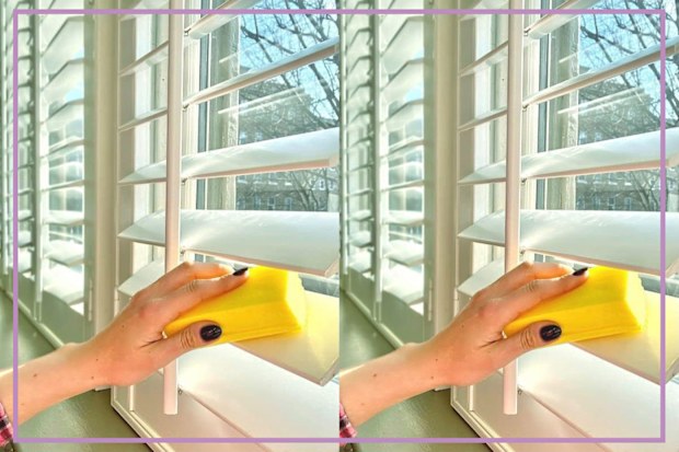 9PR: Scrub Daddy Damp Duster