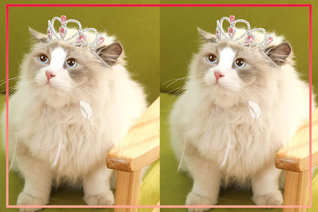 9PR: Lovelyshop Pink Gem Rhinestone Pet Tiara