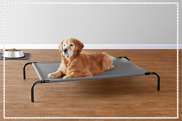 9PR: Cooling Elevated Dog Bed with Metal Frame