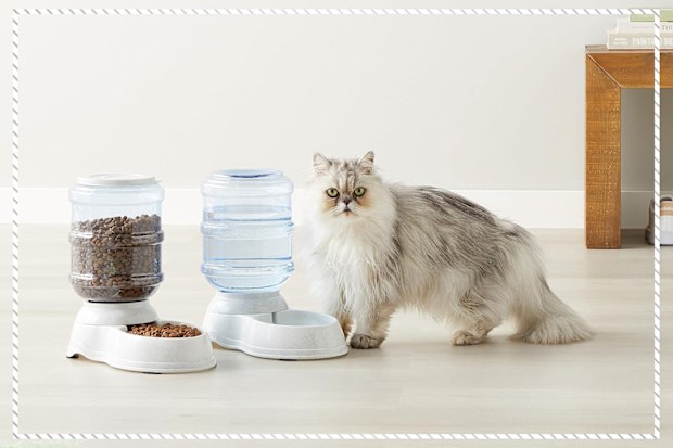9PR: Automatic Dog Cat Feeder and Water Dispenser