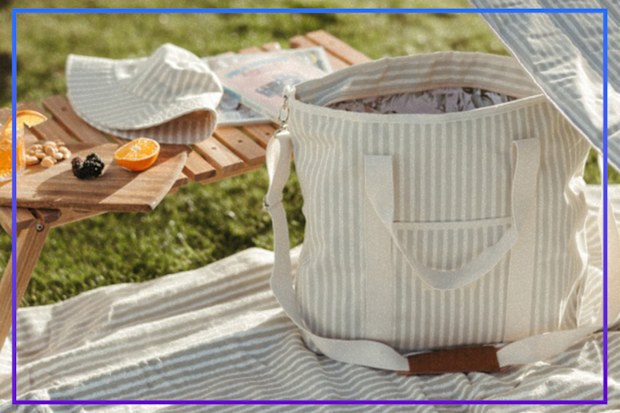 9PR: Business & Pleasure Co. The Cooler Tote Bag, Laurens Sage Stripe