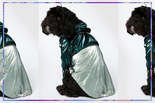 9PR: Sebastian Says Dog Raincoat