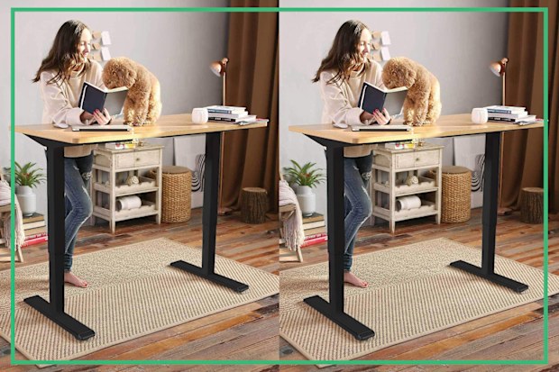 9PR: FLEXISPOT EN1 Electric White Stand Up Desk