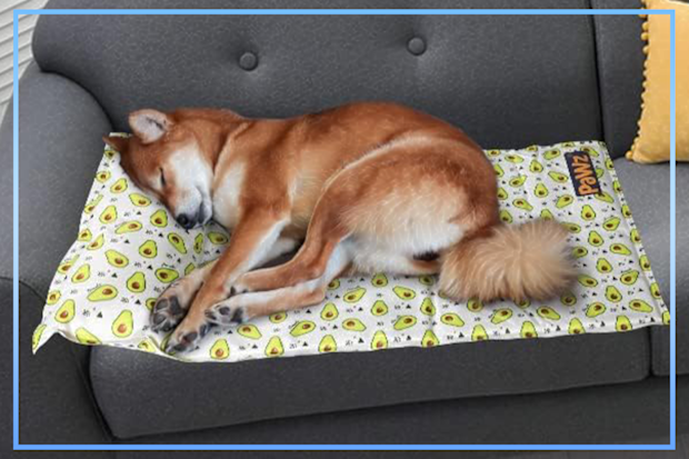 9PR: PaWz Pet Cooling Mat