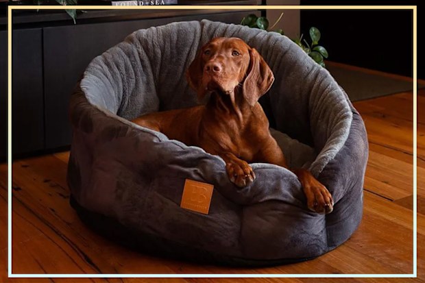 9PR: Buddy & Belle Self-Warming Round Bolster Bed, Steel Grey