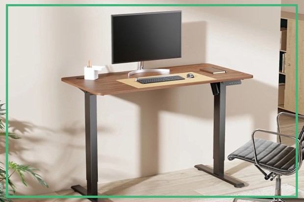 9PR: Ergolux Electric Standing Desk