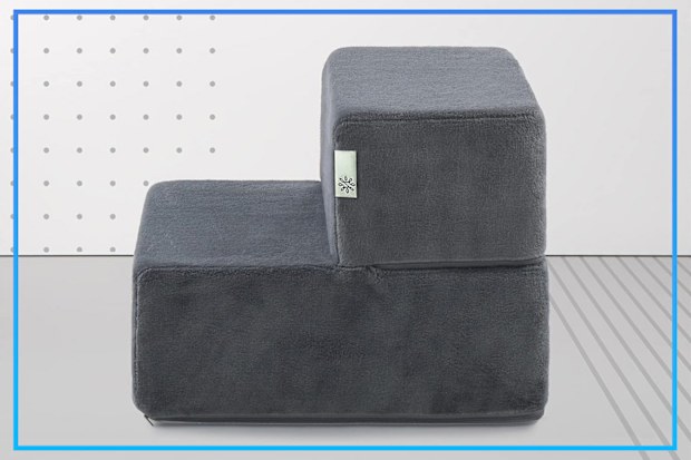 9PR: Zinus Easy Pet Stairs