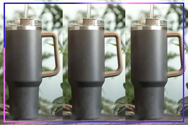 9PR: 6Pcs Stanley Straws Replacement