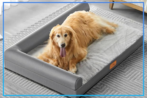 9PR: StormHero Orthopedic Dog Bed