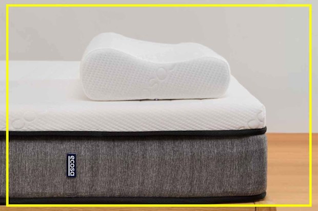 9PR: Ecosa Pillow
