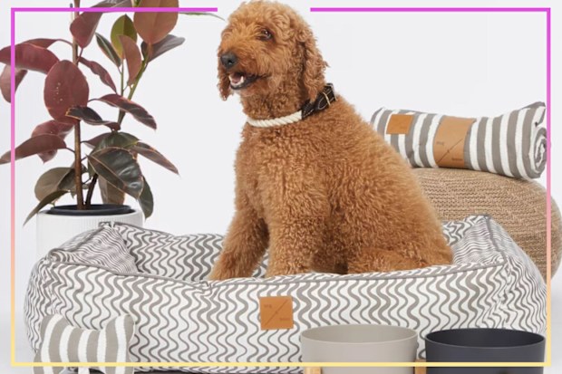 9PR: Dog beds