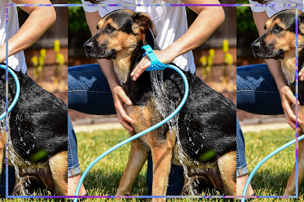 9PR: Aquapaw Pet Bathing Tool 