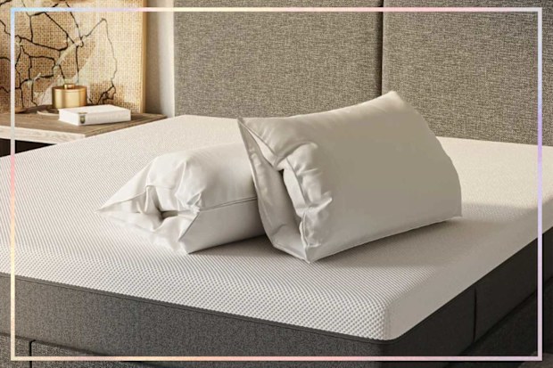 9PR: Emma Cloud Hybrid Pillow
