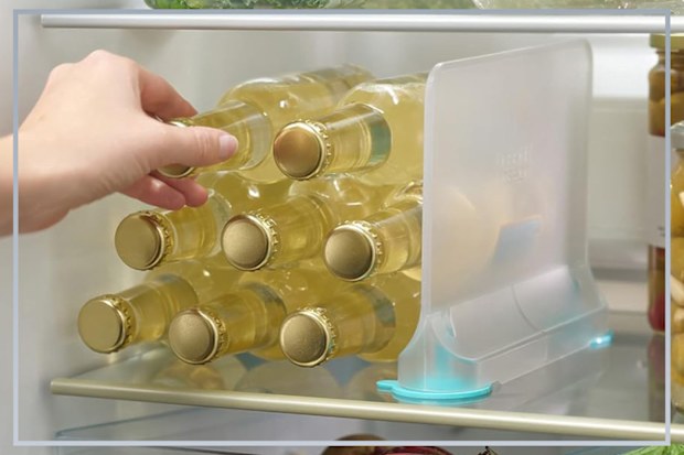 9PR: Joseph Joseph FridgeStore Movable Fridge Shelf Divider