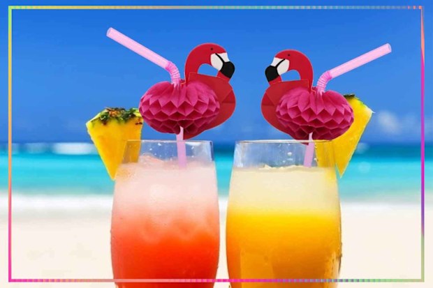9PR: Flamingo Straws.