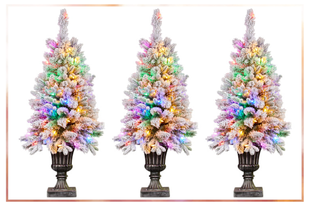 9PR: Enchanted & Evergreen Potted Snowy Christmas Tree