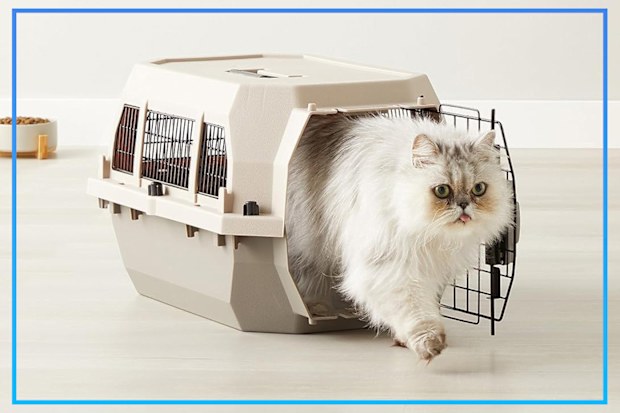 9PR: Amazon Basics Hard-Sided Dog and Cat Carrier